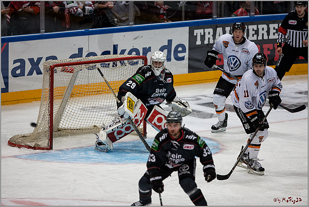 Koelner Haie - Grizzlys Wolfsburg, 16.10.2016, 16.10.2016
